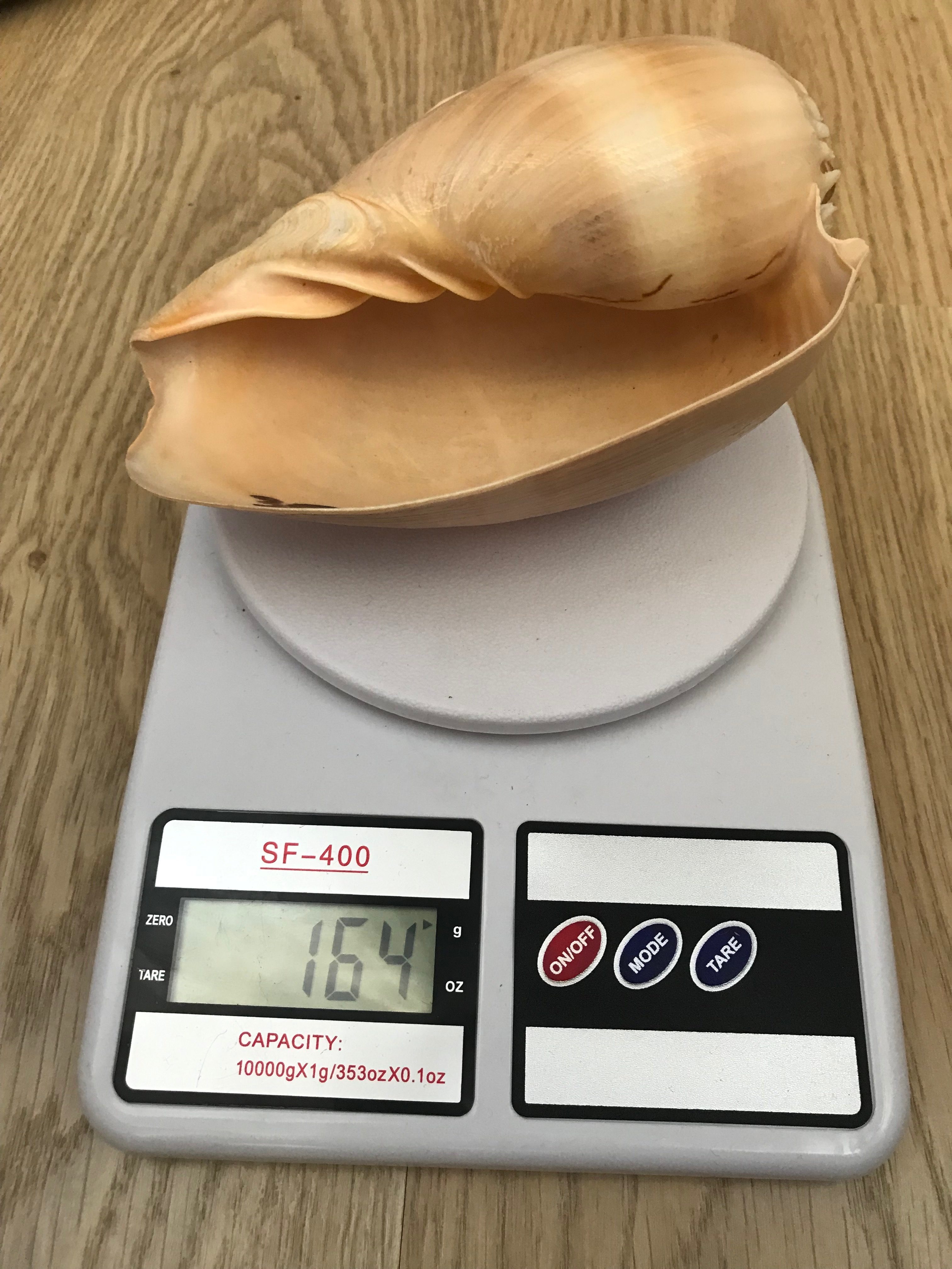 the weight of the shell is large