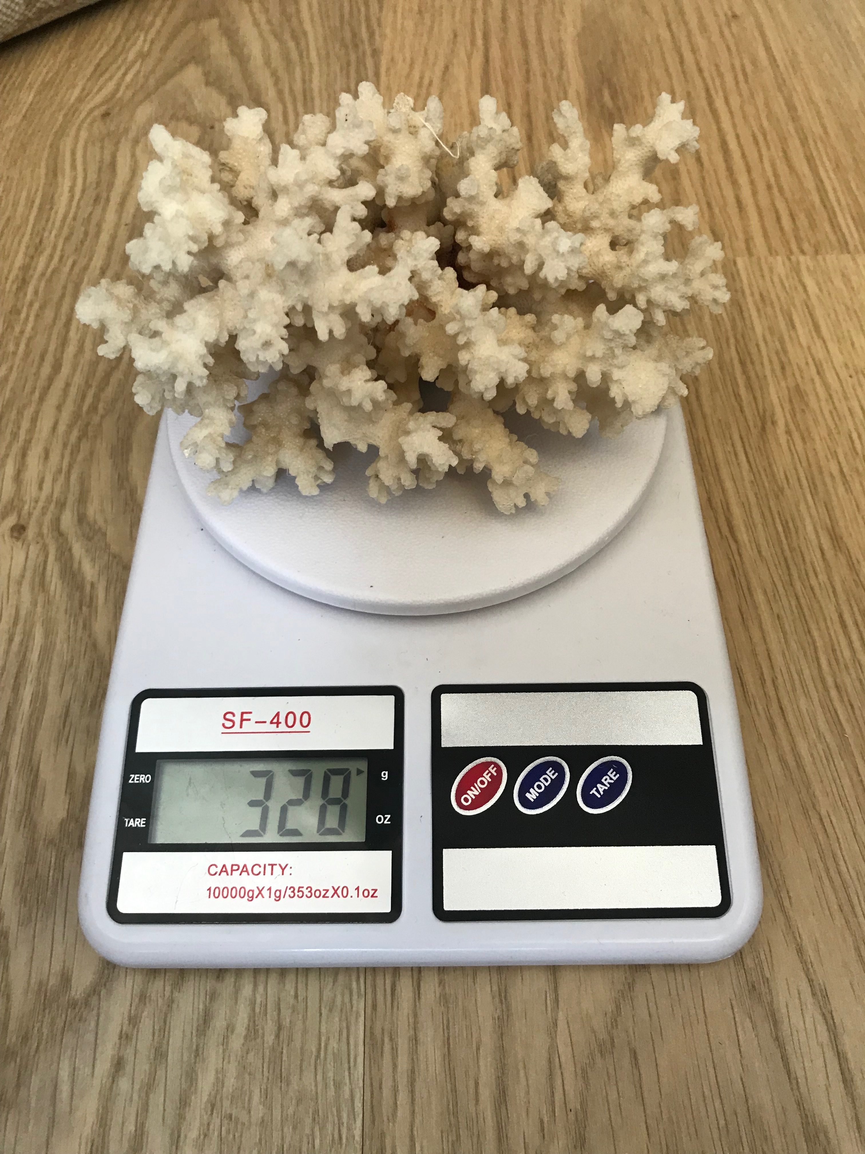 hmotnost korálů