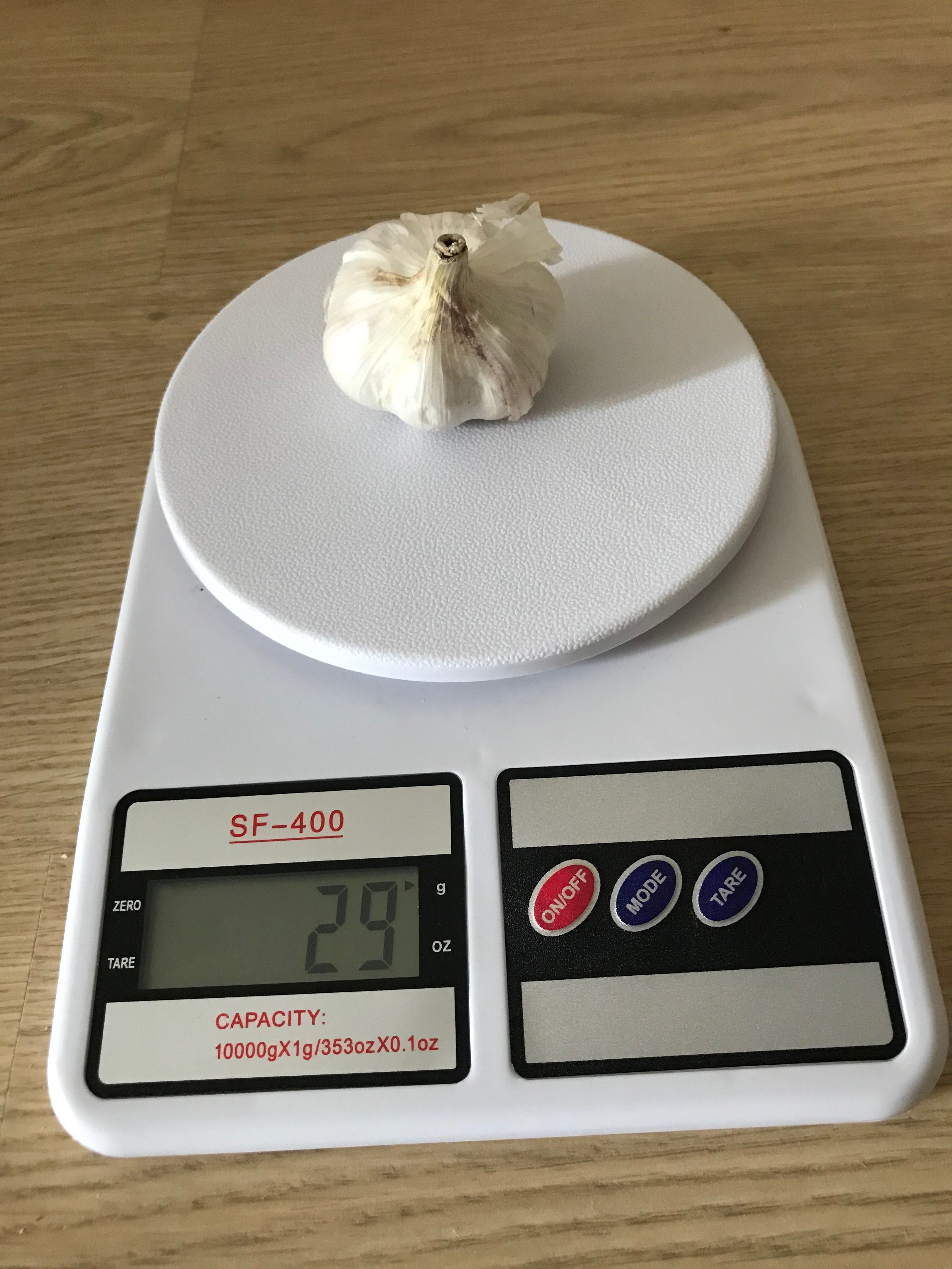Berapa berat satu kepala bawang putih?