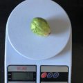 Сколько весит брюссельская капуста?