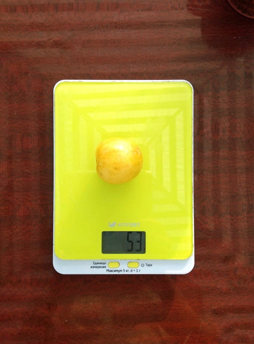 Berapa berat plum kuning?