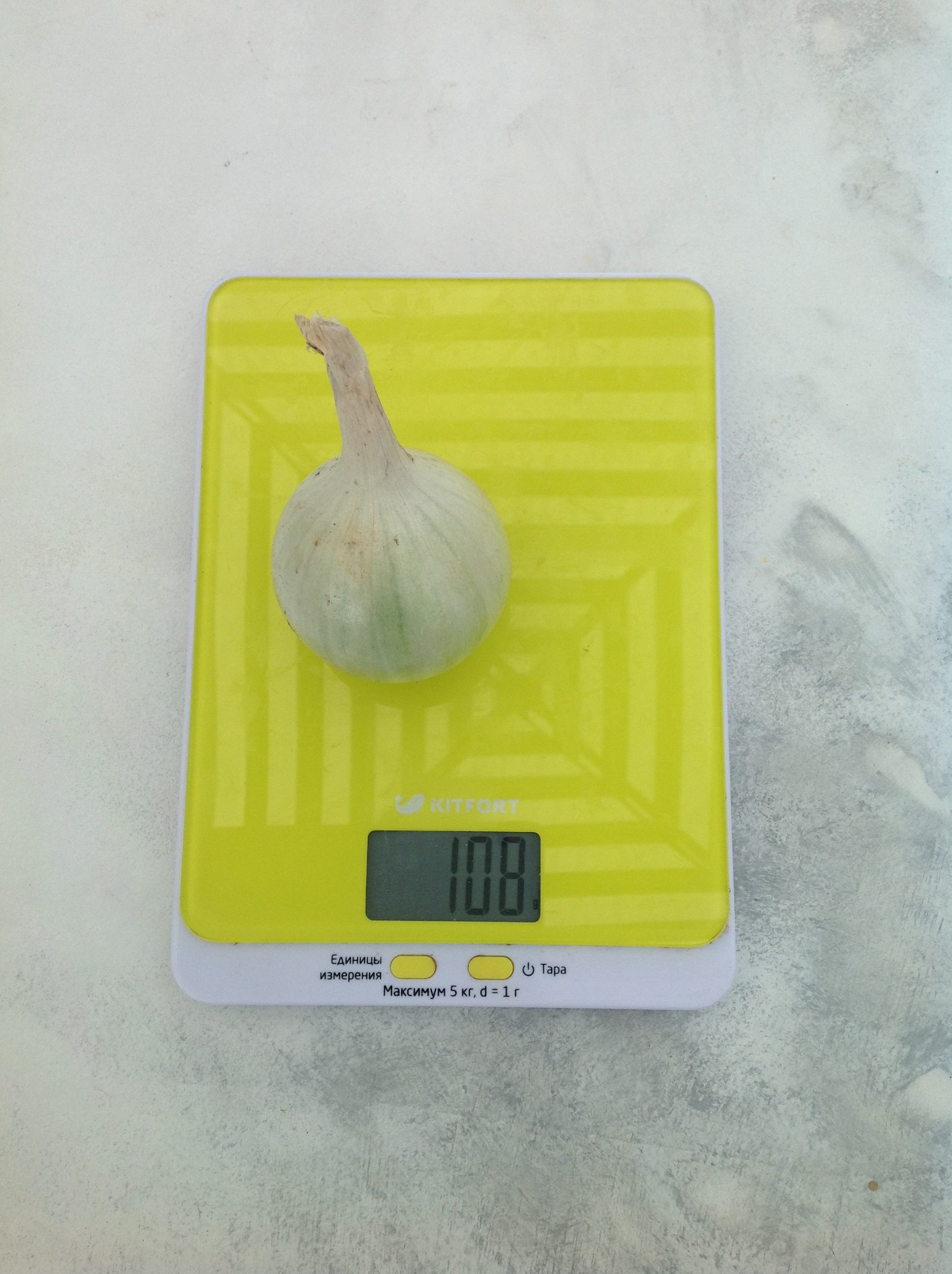 вес луковицы белой средней