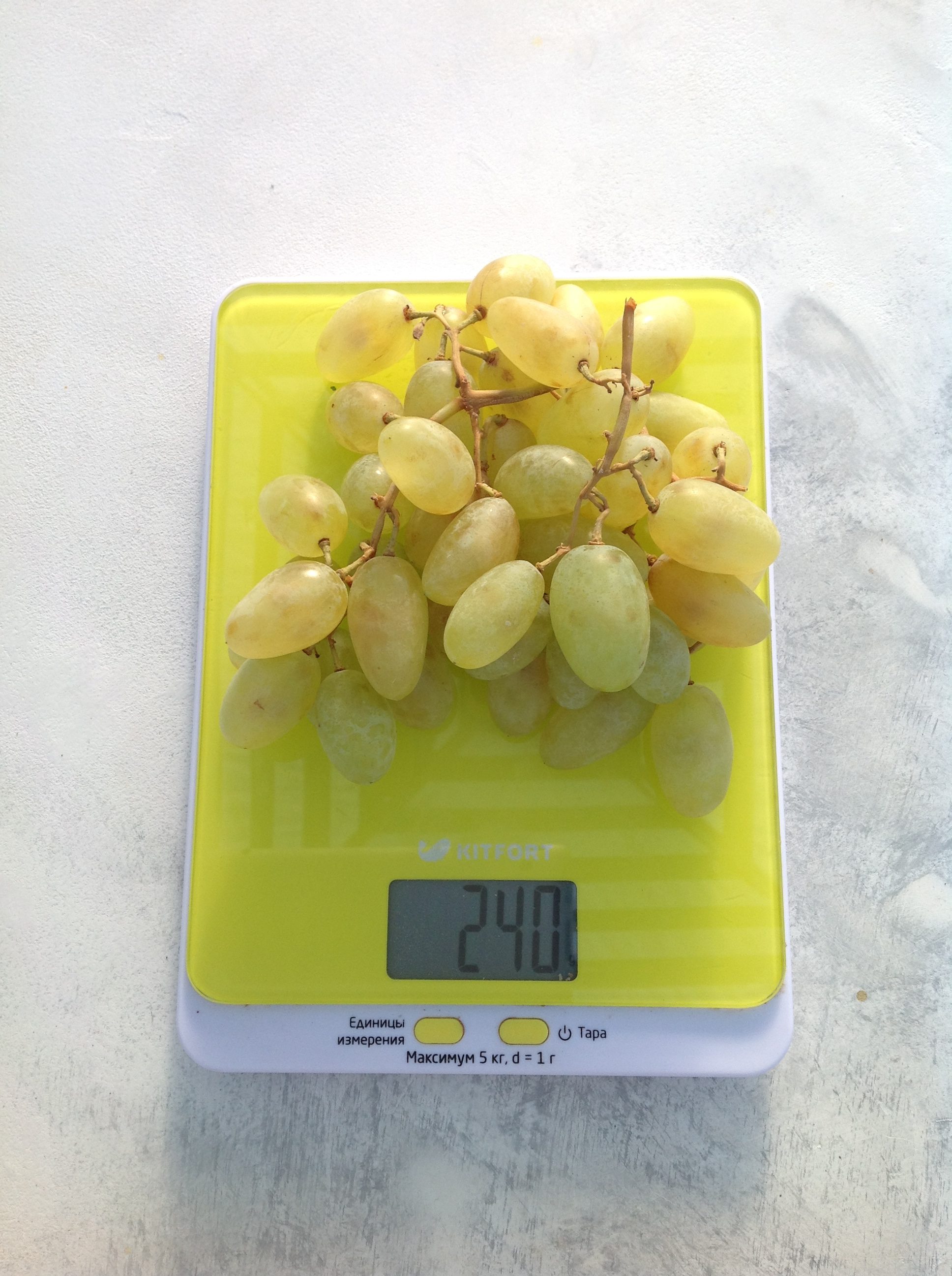 vidutinis baltųjų vynuogių šakelės svoris