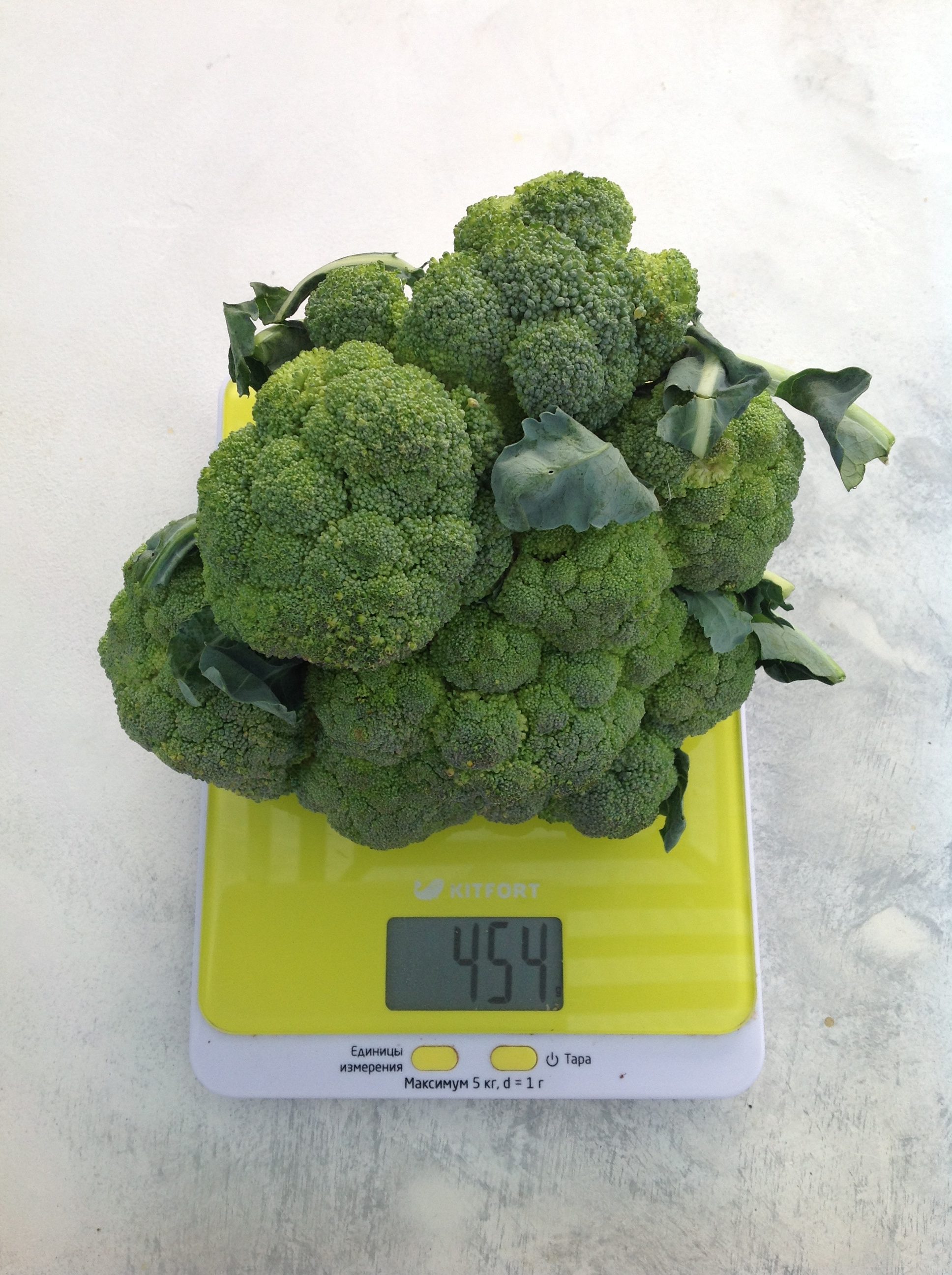 brokoļi vidēja svara