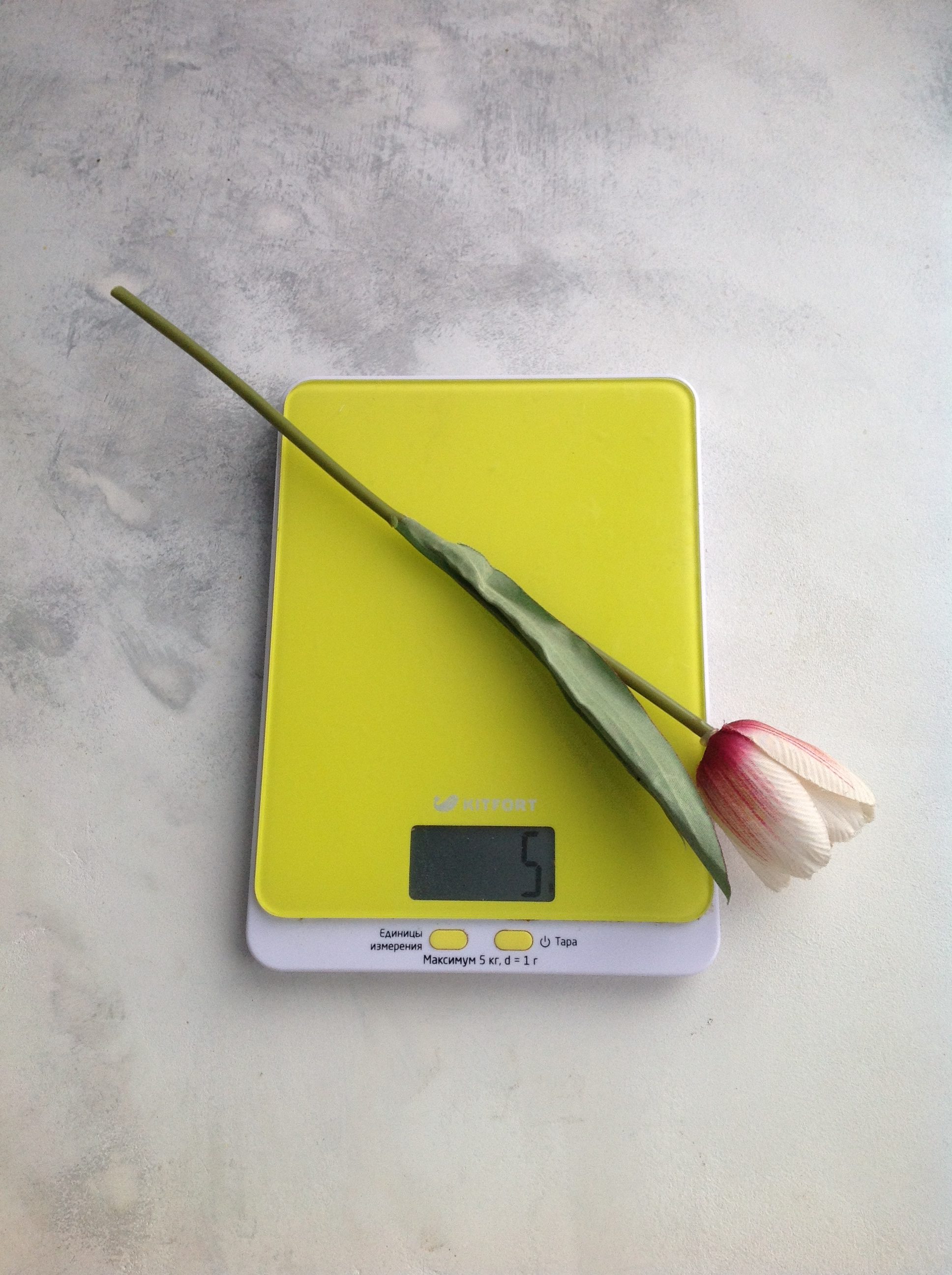 Gewicht einer künstlichen Tulpenblüte