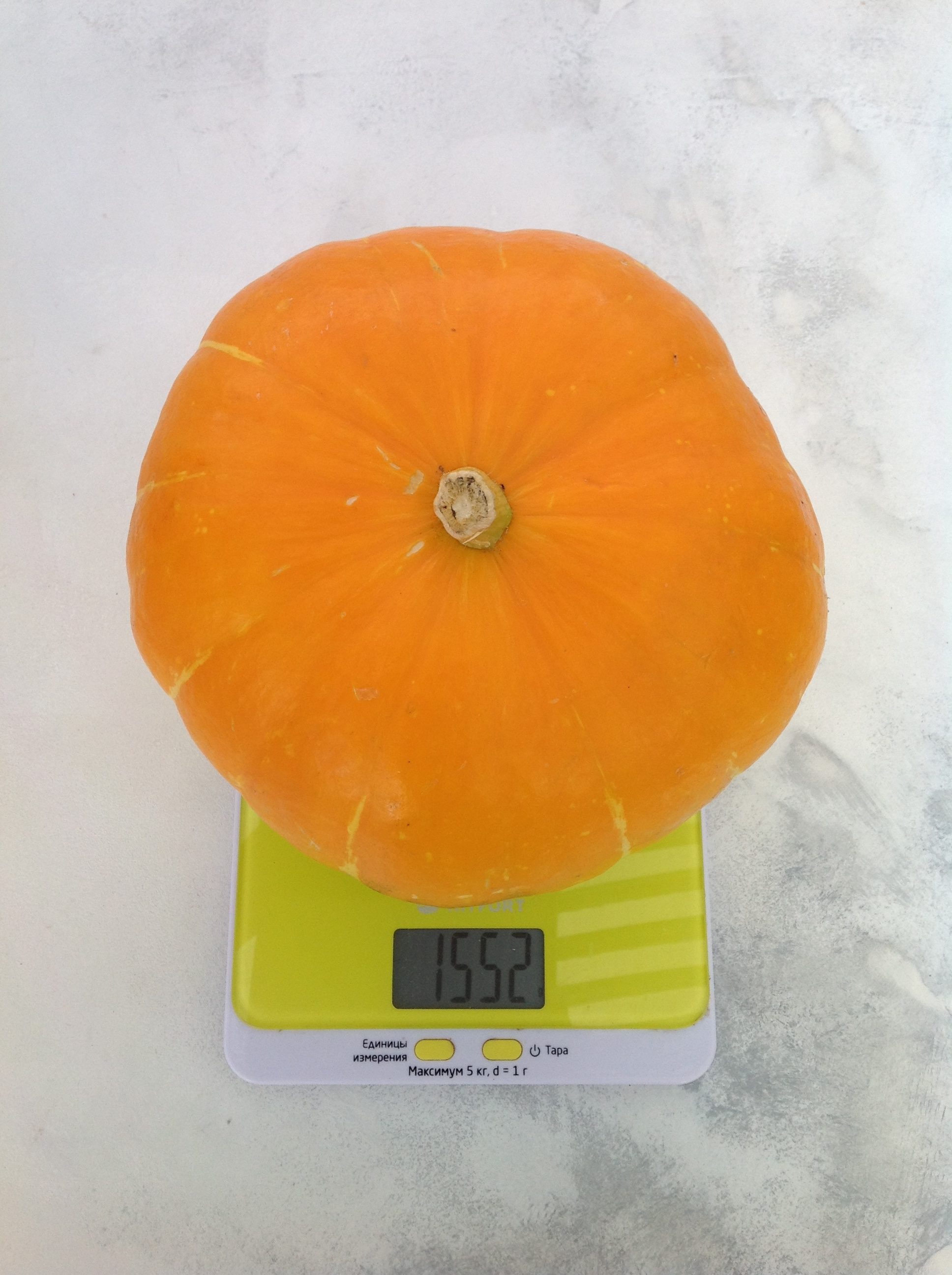 How much does a small pumpkin weigh?